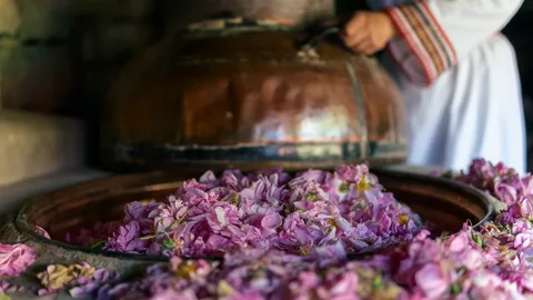 تصویر 2 از خرید گلاب مصطفوی + قیمت فروش استثنایی